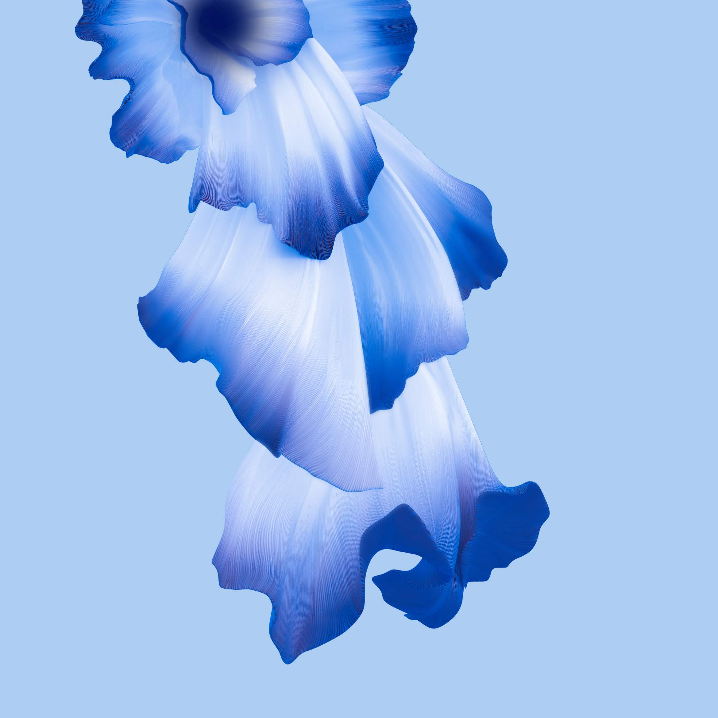 Huawei Honor 20 Pro 2