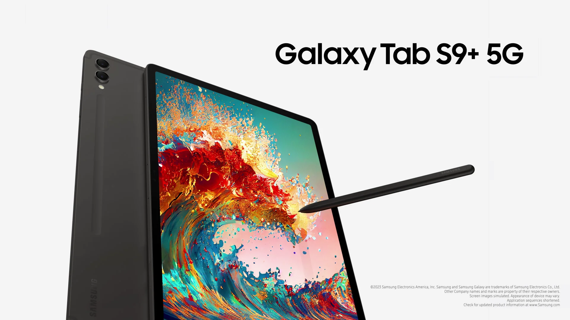 Samsung Galaxy Tab S9 Plus 5G X816 3
