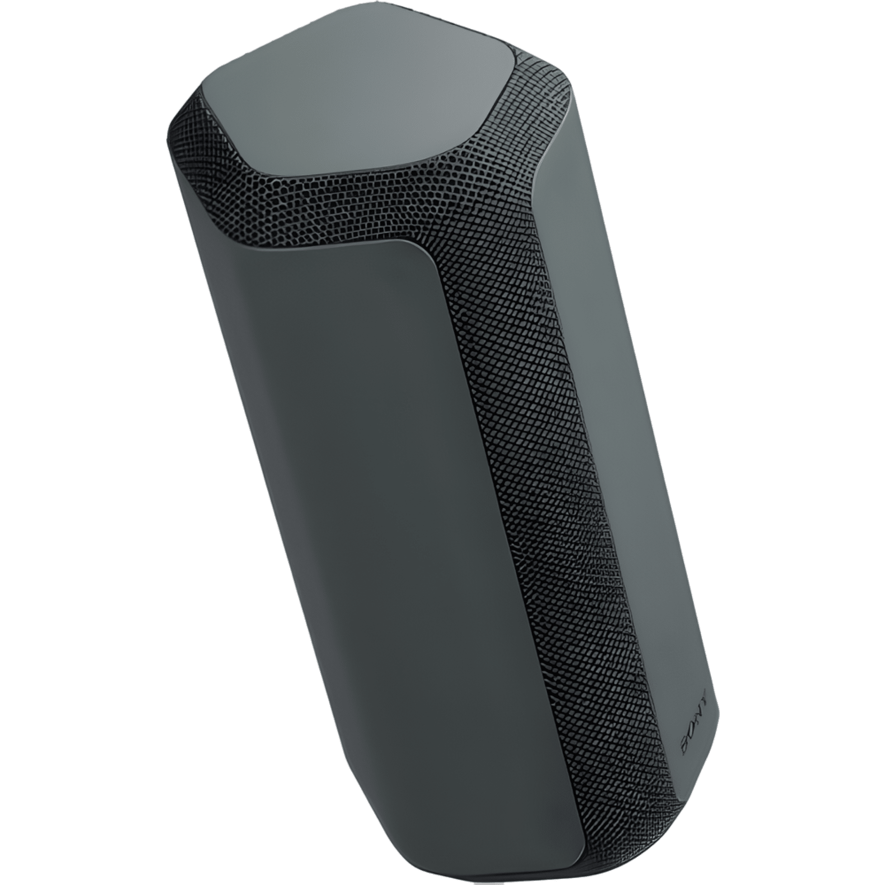 Sony SRS-XE300 3