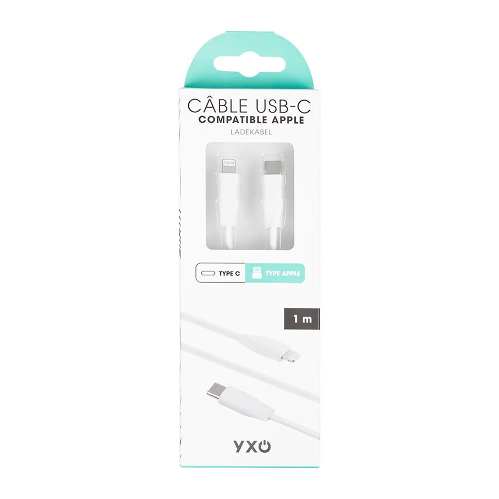 Various USB-C to Lightning Cable 1M