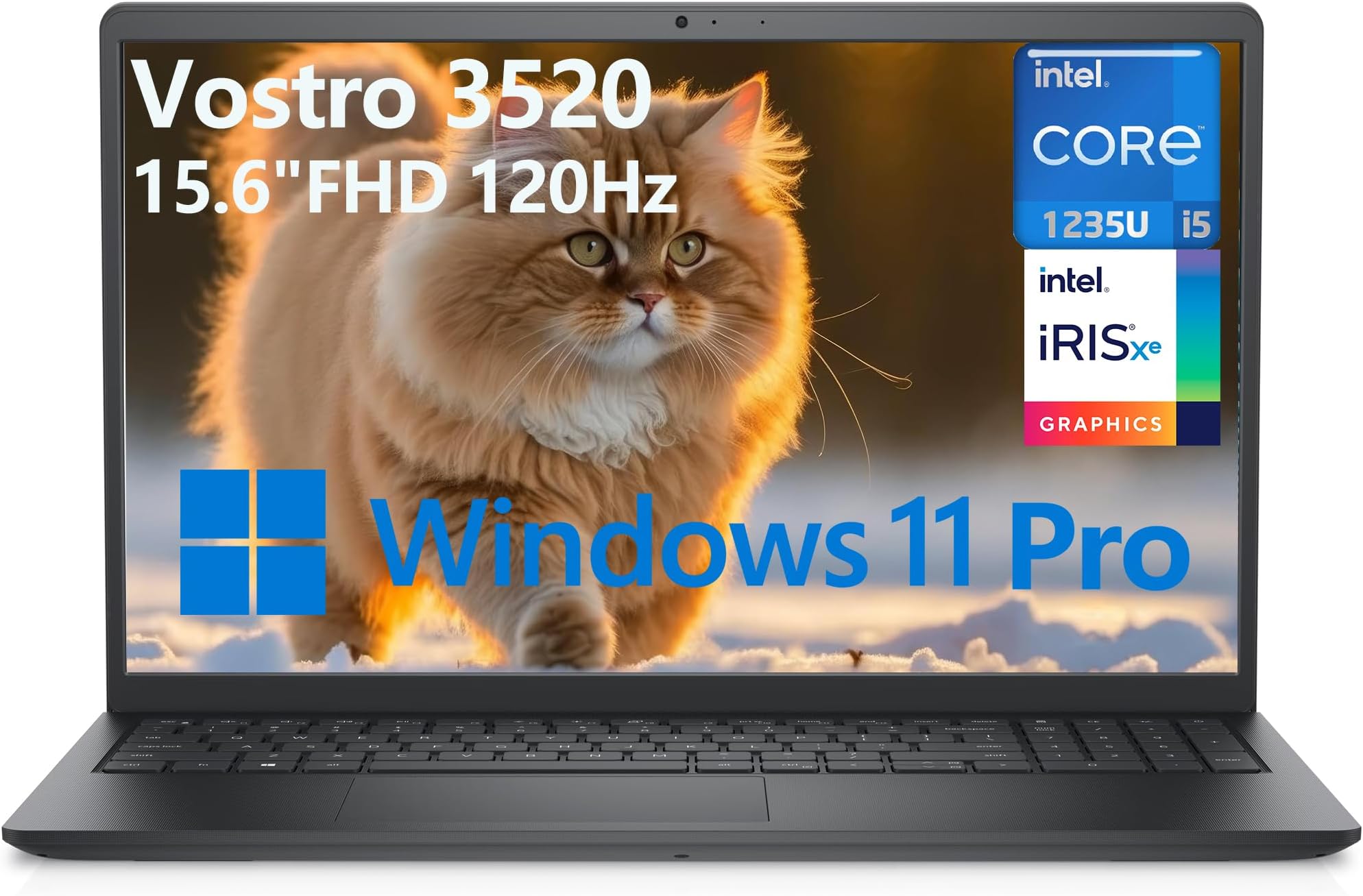 Dell Vostro 3520 15.6"