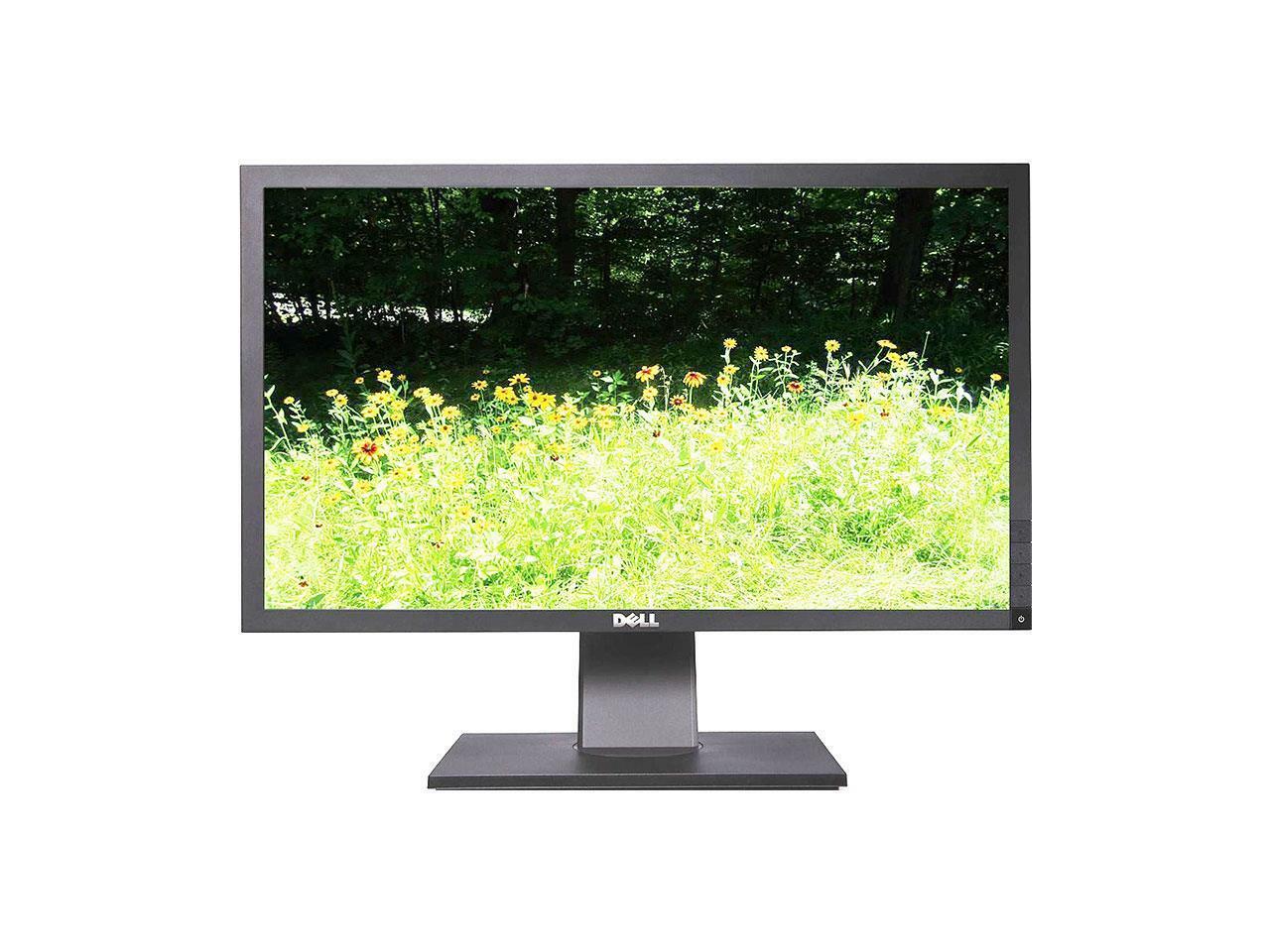 Dell Professional P2411Hb 24" FHD 2